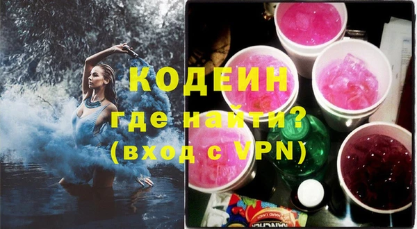 дживик Абаза