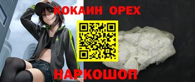 индика Ярославль