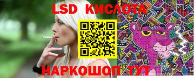 индика Ярославль