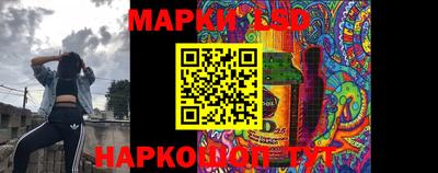 индика Ярославль