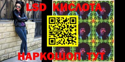 индика Ярославль