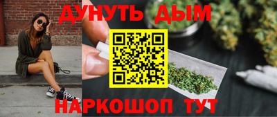 индика Ярославль