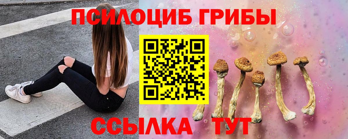 Морозовск  Псилоцибиновые грибы Cubensis  Галлюциногенные грибы мицелий  Вход с VPN 