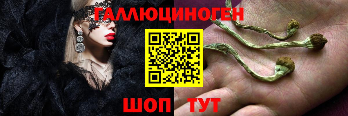 Псилоцибиновые грибы Magic Shrooms Морозовск